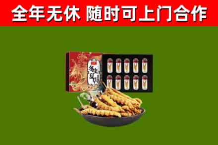 北仑回收冬虫夏草价格